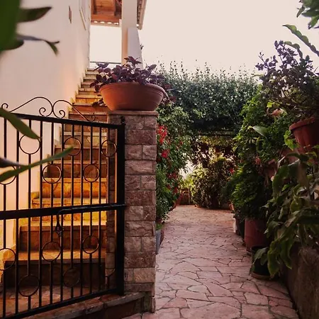 Paradise Villa