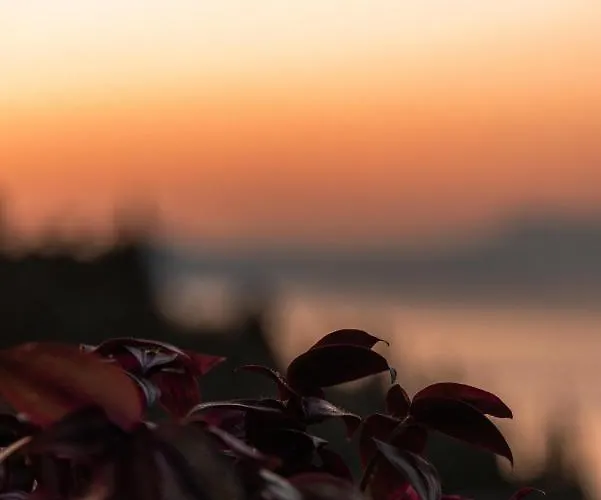 빌라 Paradise *