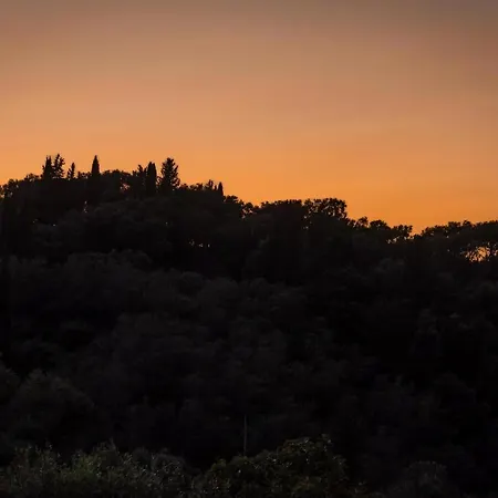 Paradise ヴィラ *