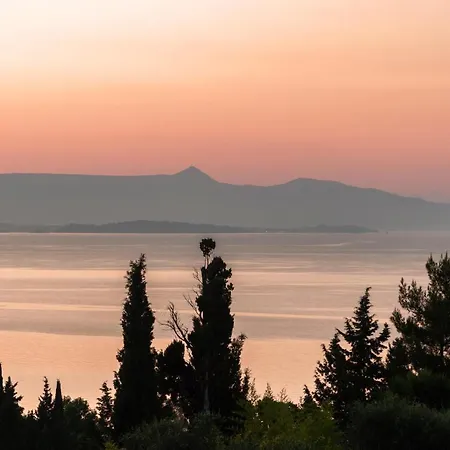 Paradise ヴィラ *