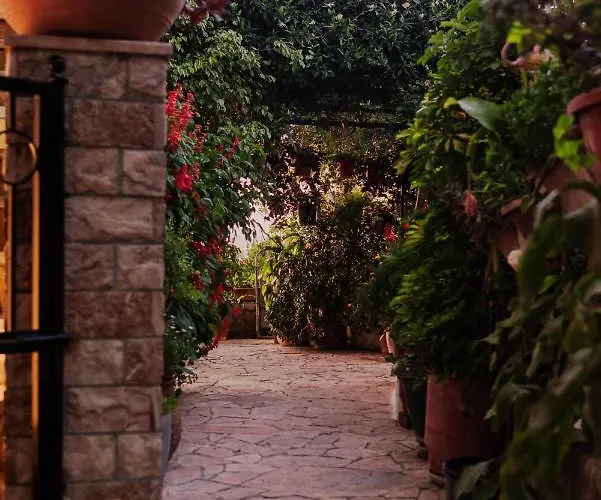 Paradise ヴィラ *