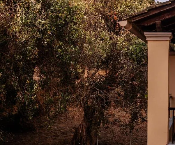 Paradise Kouspádhes